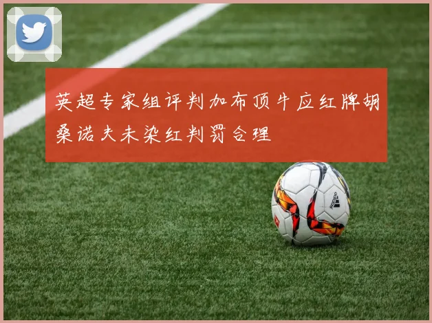 英超专家组评判加布顶牛应红牌胡桑诺夫未染红判罚合理