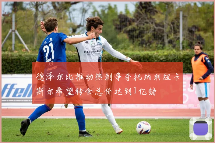德泽尔比推动热刺争夺托纳利纽卡斯尔希望转会总价达到1亿镑